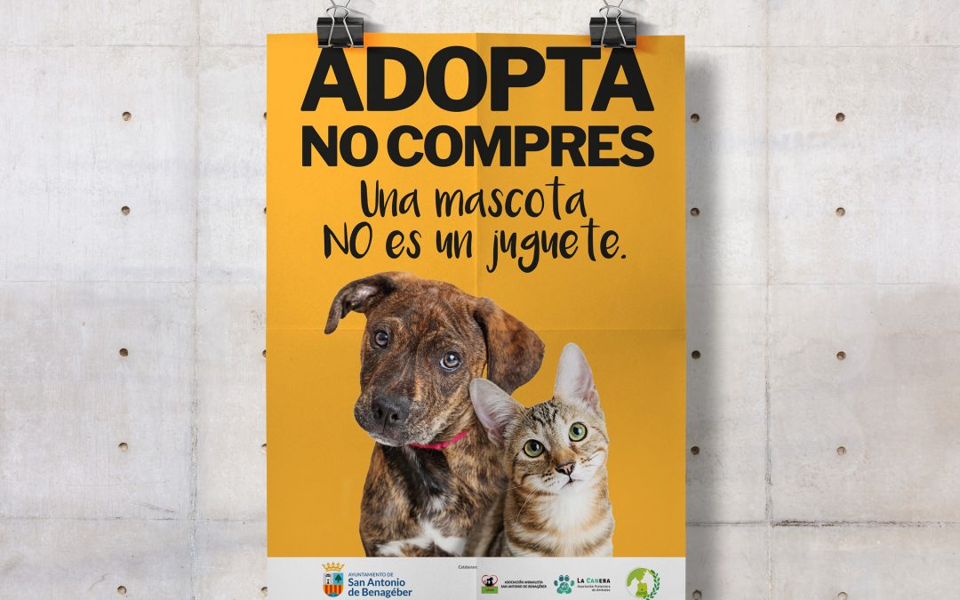 Carteles