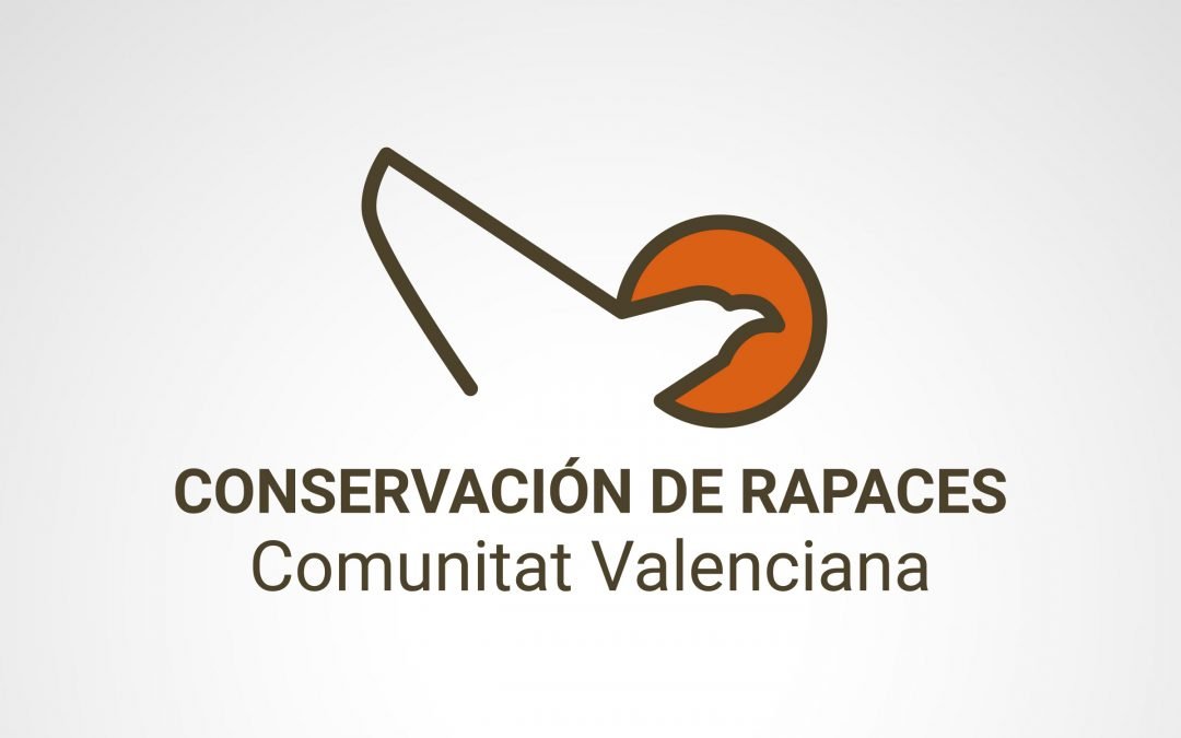 Diseño logotipos